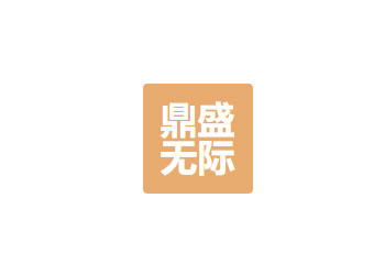 四川鼎盛无际网络科技有限公司